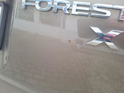 SUBARU Forester + ' ' + XT Sport 