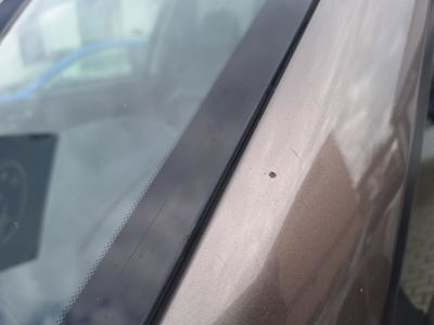 SUBARU Forester + ' ' + XT Sport 