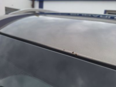 SUBARU Forester + ' ' + XT Sport 